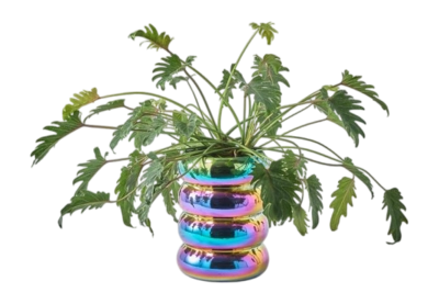 Plantpot-chubby-multi-colour_03_view-_no-bg