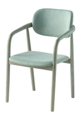Chair POLSPOTTEN Henry Berry Mint