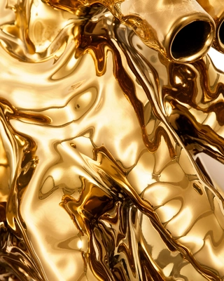 230-205-421_1_material