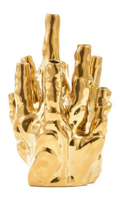 230-205-421_4-_no-bg