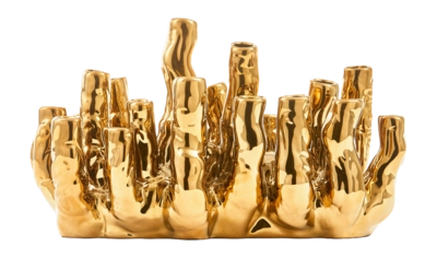 Vaas POLSPOTTEN Coral Reef Gold