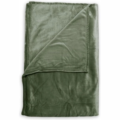 Plaid Zo! Home Cara Moss Green