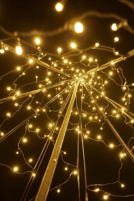 4---inside-tree-night_8134f229-f503-4d3b-9577-e3f05fde164f