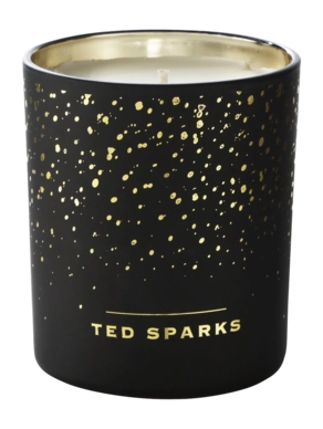Geurkaars Ted Sparks Demi Cinnamon & Spice