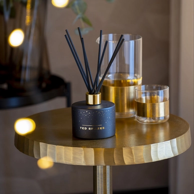 3---ted-sparks-diffuser-cinnamon-spice (2)