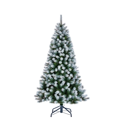 Künstlicher Weihnachtsbaum Black Box Trees Kingston Green Frosted 215 cm