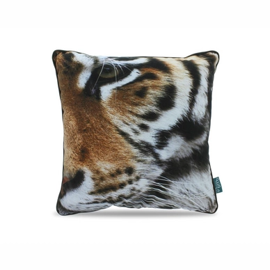 Sierkussen Intimo Tiger Multi (45 x 45)