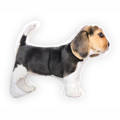 Sierkussen Intimo Beagle Black (25 x 25)