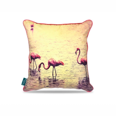 Sierkussen Intimo Flamingos Pink (45 x 45)