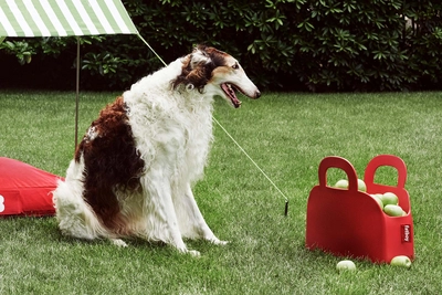 6---fatboy-sjopper-kees-red-1920x1280-ambiance-02-103548