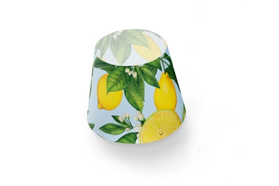 5---fatboy-cooper-cappie-limone-1920x1280-packshotplus-06-106288