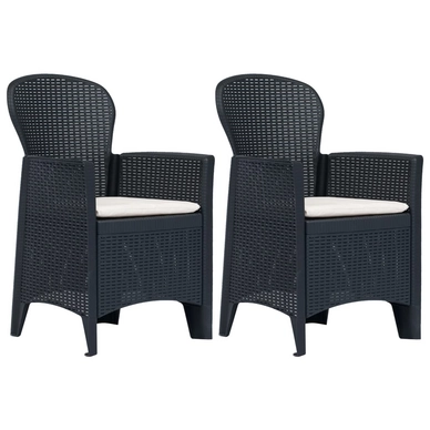 Tuinstoel Vida Met Kussens Rattan-Look Kunststof Antraciet (2-Delig)