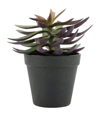 Artificial Plant By-Boo Succulent 2