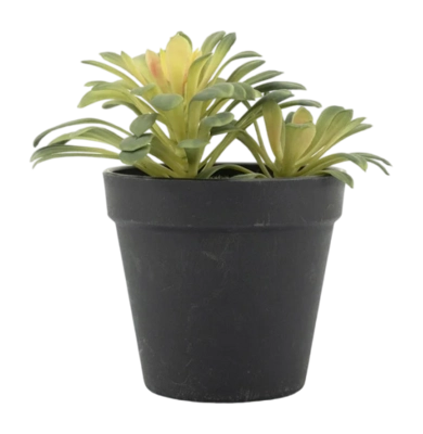 Artificial Plant By-Boo Succulent 1