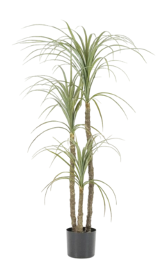 Kunstplant By-Boo Yucca stem 3