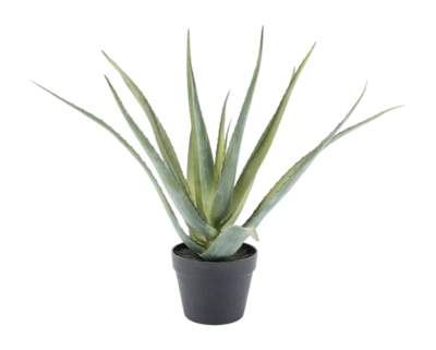 Artificial Plant By-Boo Aloe Vera