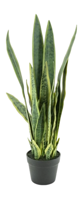 Kunstplant By-Boo Sansevieria - Medium
