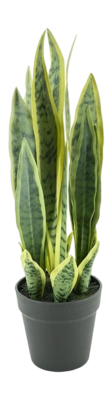 Kunstplant By-Boo Sansevieria - Small
