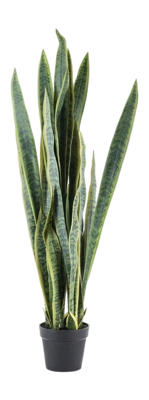 Kunstplant By-Boo Sansevieria  - Large
