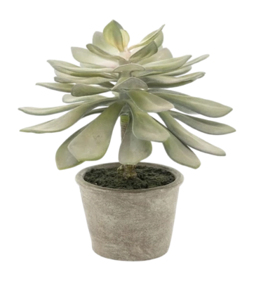 Artificial Plant By-Boo Succulent Echeveria