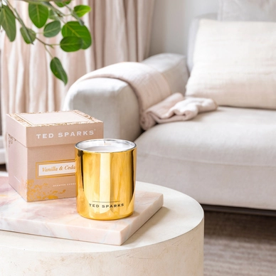 2---ted-sparks-demi-vanilla-cedarwood (1)