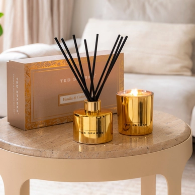 2---ted-sparks-candle-diffuser-gift-set-vanilla-cedarw (1)