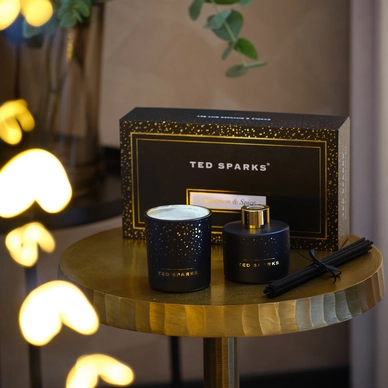 2---ted-sparks-candle-diffuser-gift-set-cinnamon-spice (1)