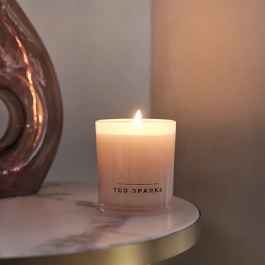 7---ted-sparks-candle-diffuser-gift-set-m-japanese-che (6)
