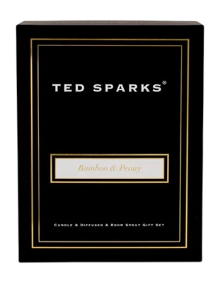 3---ted-sparks-candle-diffuser-room-spray-gift-set-bam (2)-_no-bg