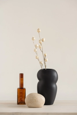 Alba Argan Oil 5