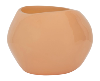 Candy Apricot Nectar 2