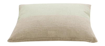 3---11583881-_no-bg