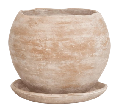 Flower Pot Urban Nature Culture Terra Natural