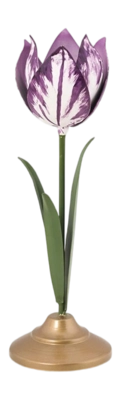 51.092.124_06_lr-_no-bg