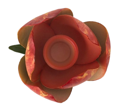 51.092.125_08_lr-_no-bg