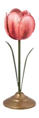 51.092.126_03_lr-_no-bg