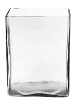 Vaas vtwonen Glass Clear Square 10 x 12 x 15 cm