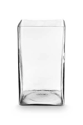 Vaas vtwonen Glass Clear Square 15 x 15 x 26 cm