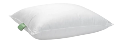 3---eendenveren-eendendons_puntkussen_3_1_4-_no-bg
