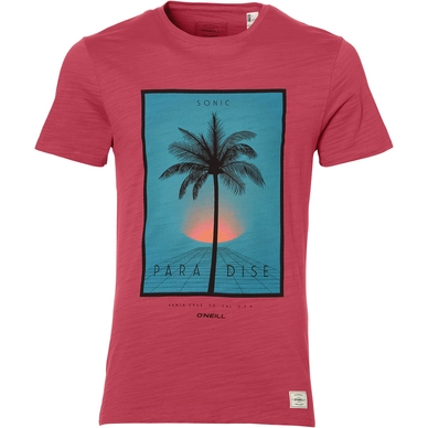 T-Shirt O'Neill Men Sonic Holly Berry