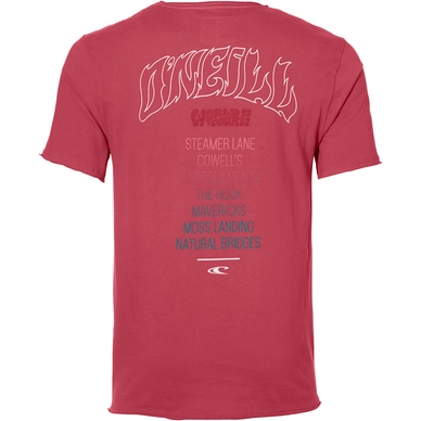T-Shirt O'Neill Men World Tour Holly Berry