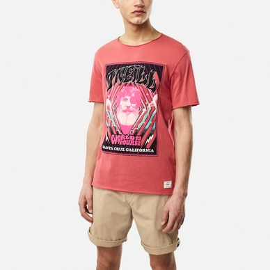 T-Shirt O'Neill Men World Tour Holly Berry