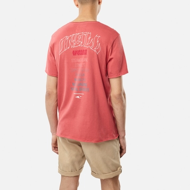 T-Shirt O'Neill Men World Tour Holly Berry