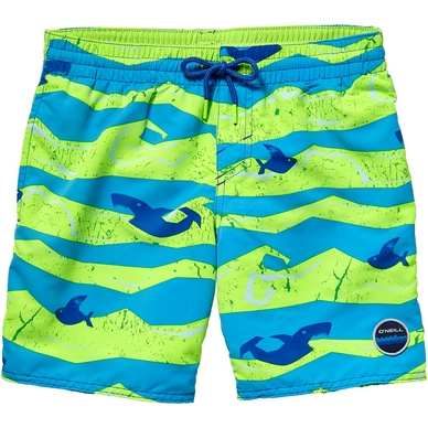 Board Shorts O'Neill Boys Thirst For Surf Green Blue