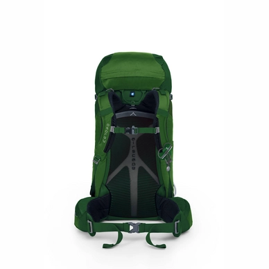 Backpack Osprey Kestrel 48 Jungle Green (S/M)