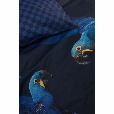 9---Blue_Parrot_2persoons_rgb-4067
