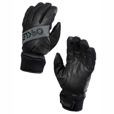 Handschuhe Oakley Factory Winter Glove 2 Jet Black Herren