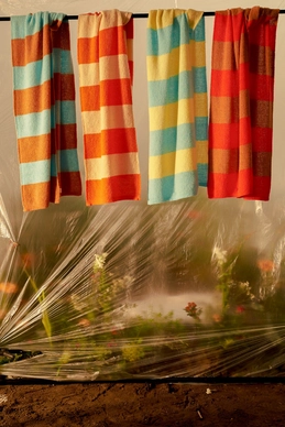 2---SPACYALLCOLOURS_a28e3d1a-db61-4b31-aaef-68d38b173c4b_1800x1800