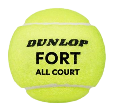 601605_fort-all-court-ball-01-_no-bg