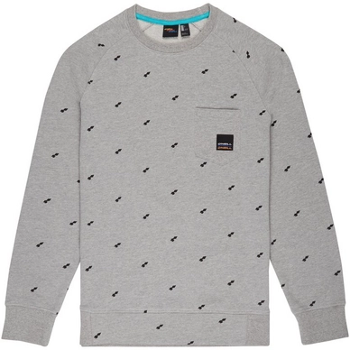 Pullover O'Neill Printed Crew Sweatshirt Grey Aop Herren